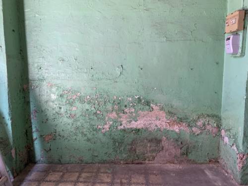 Example of Rising Damp on an internal wall
